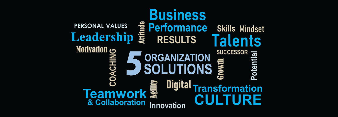 5 Organization Solutions Blue